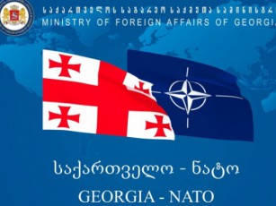 nato-saqarTvelos-komisiis-sxdomaze-wliuri-erovnuli-programa-Sefasda-rogorc-Sedegze-orientirebuli-ambiciuri-da-yovlismomcveli