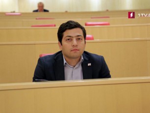 zurab-alaviZem-efeqturad-imuSava-da-bevri-proeqtiT-dagvamaxsovra-Tavi