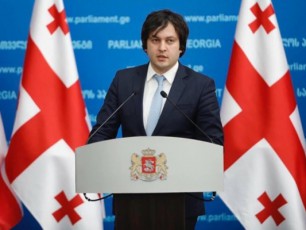 avtorebi-ver-malaven-uaryofiT-damokidebulebas-biZina-ivaniSvilis-mimarT-romelic-saqarTveloSi-demokratiuli-gardatexis-mTavari-Semoqmedia