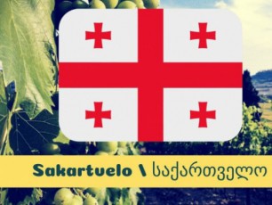 litvelebi-dReidan-saqarTvelos-gruzias-nacvlad-saqarTvelos-uwodeben