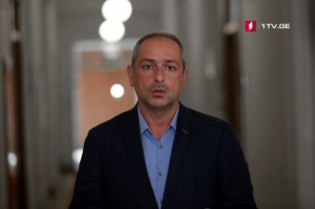 vfiqrob-giorgi-margvelaSvilma-da-patriotTa-aliansma-saerTo-interesebi-ipoves