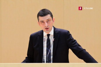 policia-ar-ekuTvnis-arc-erT-partias-policia-ekuTvnis-qveyanas
