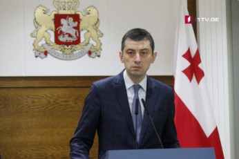 arc-erTi-kiTxvis-ar-gveSinia-mzad-varT-SevideT-yvela-saxis-diskusiaSi