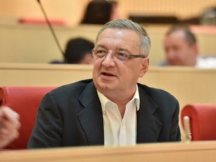 gia-volski-saqarTvelos-nato-Si-gawevrianebis-TariRze--konkretuli-vadis-dasaxeleba-arasworia
