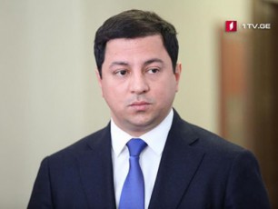 asadis-reJimis-mier-saqarTvelos-okupirebuli-teritoriebis-aRiarebas-legitimacia-ar-eqneba
