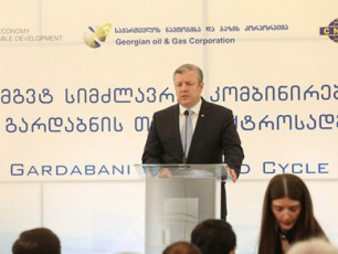 giorgi-kvirikaSvili-gardabnis-Tboeleqtrosadguri-2-is-mSeneblobis-mimdinareobas-gaecno