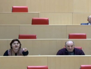 Cveni-politikuri-Zala-am-sagamoZiebo-komisiaSi-ar-darCeba-radgan-vimyofebiT-ara-parlamentSi-aramed-absurdis-TeatrSi