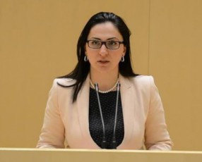 ivaniSvilis-poziciaa-rom-siRaribis-kuTxiT-mZime-situaciaa-kvirikaSvili-mosazrebiT-ekonomikuri-gundis-politika-iyo-swori---es-iyo-maT-Soris-azrTa-sxvadasxvaoba