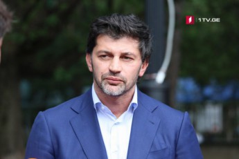 vfiqrob-erToblivi-ZalisxmeviT-SevZlebT-vupasuxoT-gamowvevebs-rac-arsebobs-qveyanaSi