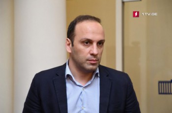 darCeba-Tu-ara-Tea-wulukiani-mTavrobis-SemadgenlobaSi-amas-mamuka-baxtaZe-gadawyvets