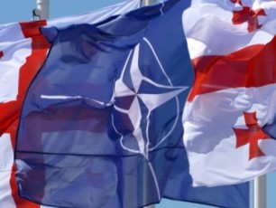ria-novosti---saqarTvelo-SesaZloa-nato-Si-gamartivebuli-proceduriT-Sevides