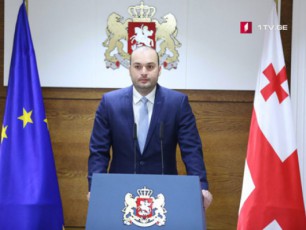 axali-iniciativa-naturaluri-rZis-warmoebis-xelSewyobaze-mTavrobis-dRevandel-sxdomaze-ganixiles