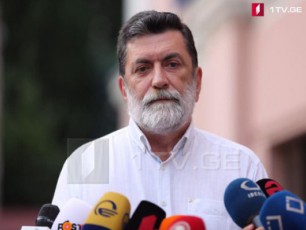 vici-is-rom-ganaTlebis-ministrobis-kandidatze-araferi-ar-vici