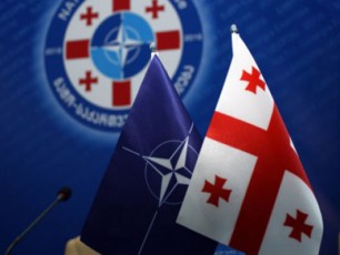 saqarTvelos-nato-Si-gawevrianebis-procesis-Semadgeneli-nawili-MAP-iqneba
