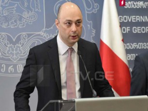 anakliis-proeqti-gansaxilveli-prioritetia-saubaria-am-sakiTxis-kompleqsurad-Seswavlaze