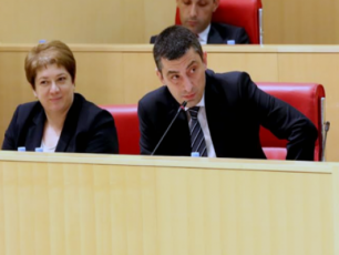 giorgi-gaxaria-da-maia-cqitiSvili-vice-premierebad-dainiSnen