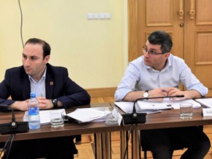 Zalian-gTxovT-JestikulaciiT-mimikiT-damcinavi-toniT-nu-gamovalT-im-adamianebis-winaaRmdeg-vinc-komisiis-sxdomaze-ikiTxeba