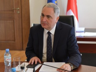 biZina-ivaniSvilma-ekonomikuri-procesebis-da-problemebis-swori-xedva-da-analizi-warmogvidgina