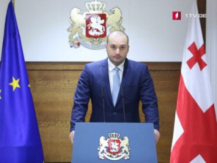 umjobesi-iqneba-Tu-qarTul-ocnebas-saprezidento-arCevnebze-Tavisi-kandidati-ar-eyoleba