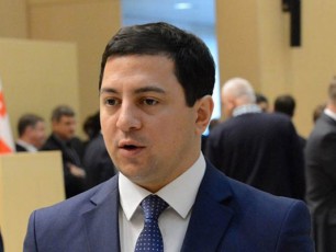 mniSvnelovania-kanafis-warmoeba-kultivaciasTan-dakavSirebiT-yvela-argumenti-Sejerebuli-iyos