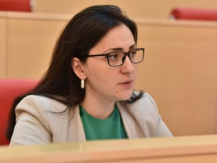 nebismier-normalur-saxelmwifoSi-msgavs-saqmeze-unda-dadges-gamoZiebis-Sedegebi