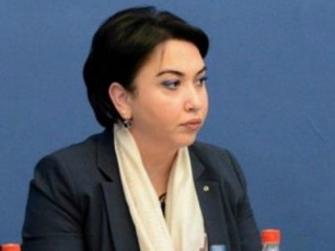 CemTvis-sainteresoa-sakiTxis-samarTlebrivi-mxare-maTi-mopovebisa-da-gavrcelebis-kanoniereba-unda-gadamowmdes---beselia-skandalur-Canawerebze