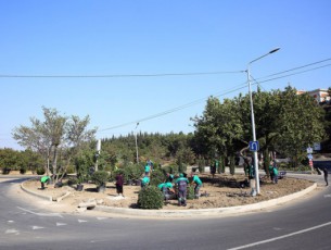 dedaqalaqis-meri-bagebSi-mimdinare-gamwvanebis-samuSaoebs-gaecno