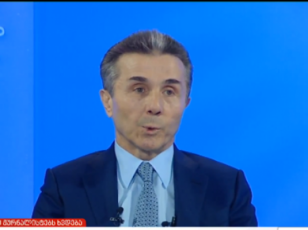 biZina-ivaniSvilma-JurnalistebTan-Sexvedra-samZimriT-daiwyo