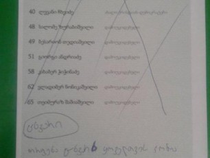 TelavSi-samoqalaqo-aqtivistma-saarCevno-biuletenSi-cxvari-Semoxaza