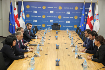 Tbilisis-merma-sabanko-seqtors-dedaqalaqis-mwvane-proeqtebSi-CarTvisken-mouwoda