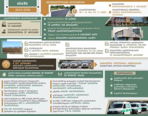 mniSvnelovani-proeqtebi-abaSaSi-2013-2018-wlebi