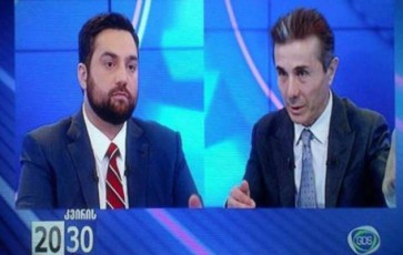 batono-biZina-gamofxizldiT-isev-gatyueben-StabSi---arCil-gamzardia