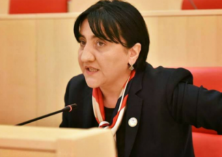 kenWisyraze-unda-gavides-rezolucia-romelic-saakaSvil-bokerias-mmarTvelobas-danaSaulebriv-reJimad-Seafasebs