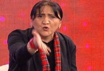 inaSvili-nacmoZraoba-Zalian-aRelvebulia-da-farebi-Caaqres-ukve