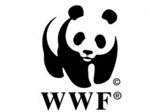 WWF--is-iniciativiT--tyis-kvireuli-gaimarTeba