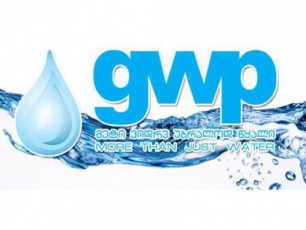 GWP-semekis-gadawyvetilebas-sasamarTloSi-gaasaCivrebs