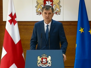 devnil-ojaxebs-ganacxadebis-Sevseba-iusticiis-saxlebSi-SeeZlebaT