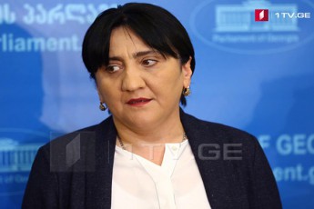 irma-inaSvili-medias-ainteresebs-sad-mimyavda-nika-melia-mas-Cems-kabinetSi-vepatiJebodi