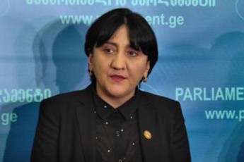 miviReT-nac-ocneba-axali-politikuri-cxovelis-jiSi