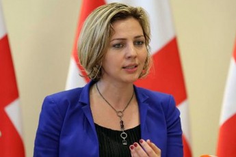 uzenaesi-sasamarTlos-mosamarTleebis-SesarCevad-Seqmnil-samuSao-jgufSi-CaverTvebi-Tu-is-Ria-iqneba-sxva-SemTxvevaSi-azri-ar-aqvs