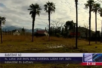 miSa---Sen-kaco-nu-nerviulob-oRonnd-Camodi-da-am-tkbili-hoveniis-nayofsac-Segaxvedreben-da-civ-niavsa-ar-mogakareben