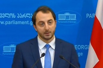 irakli-mezurniSvili-gedevan-fofxaZes-procedurasTan-dakavSirebiT-protesti-umravlesobis-sxdomaze-ar-daufiqsirebia