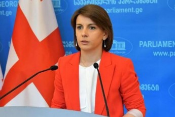 ar-viziareb-Sefasebas-rom-yvela-vinc-kritikulad-aris-ganwyobili-mosamarTleebTan-dakaSirebuli-procesebis-mimarT-marTulia-erTi-politikuri-Zalisgan