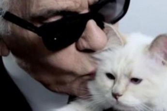 karl-lagerfildma-memkvidred-Tavisi-kata-daasaxela---Supeti-yvelaze-mdidari-kata-gaxdeba