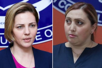ra-weria-ana-doliZis-da-nazi-janezaSvilis-STambeWdav-qonebriv-deklaraciebSi