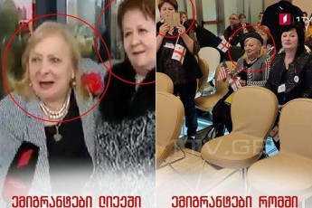 lieJsa-da-romSi-mixeil-saakaSvilTan-Sexvedrs-erTi-da-igive-adamianebi-eswrebian
