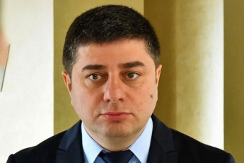 vrCebi-biZina-ivaniSvilis-Cemi-nomer-pirveli-TanamebrZolis-gverdiT