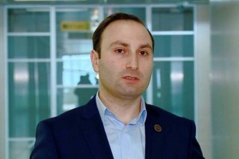 anri-oxanaSvili--adgili-aqvs-erTi-subieqtis-mier-politikuri-imunitetis-mopovebis-mcdelobas