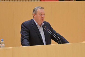 aravin-arafris-gaZvirebas-apirebs-Cemi-gancxadeba-mxolod-rekomendacia-iyo