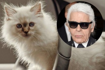 karl-lagerfildis-kata-sakuTar-tansacmlis-xazs-uSvebs